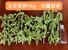 鮮度抜群！朝どれをその日に発送！枝付きえだまめ「神風香」1kg