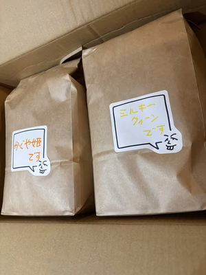 みんなの投稿の画像