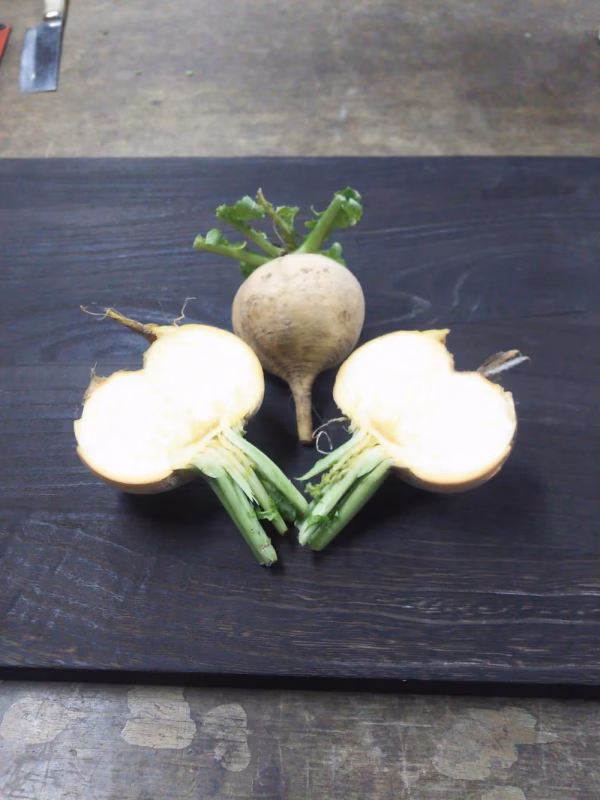 菜園家族の旅する医農野菜♪【訳あり黄ビーツ】