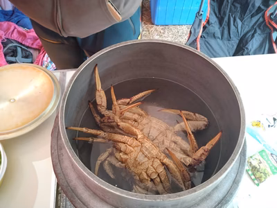 みんなの投稿の画像