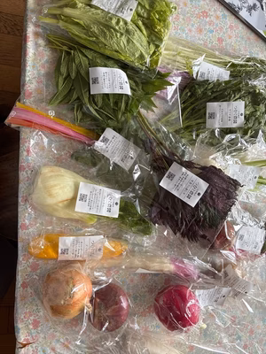 みんなの投稿の画像