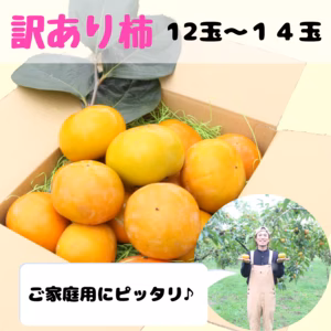 【訳あり！お買い得！】福岡県産　富有柿の訳ありご自宅用　12玉～14玉