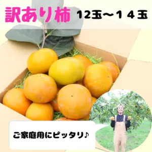 【訳あり！お買い得！】福岡県産　富有柿の訳ありご自宅用　12玉～14玉