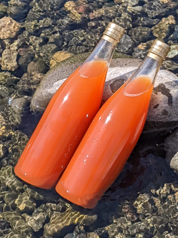 【ご家庭用】1年に１度しか作らない100％完熟トマトジュース2本入り