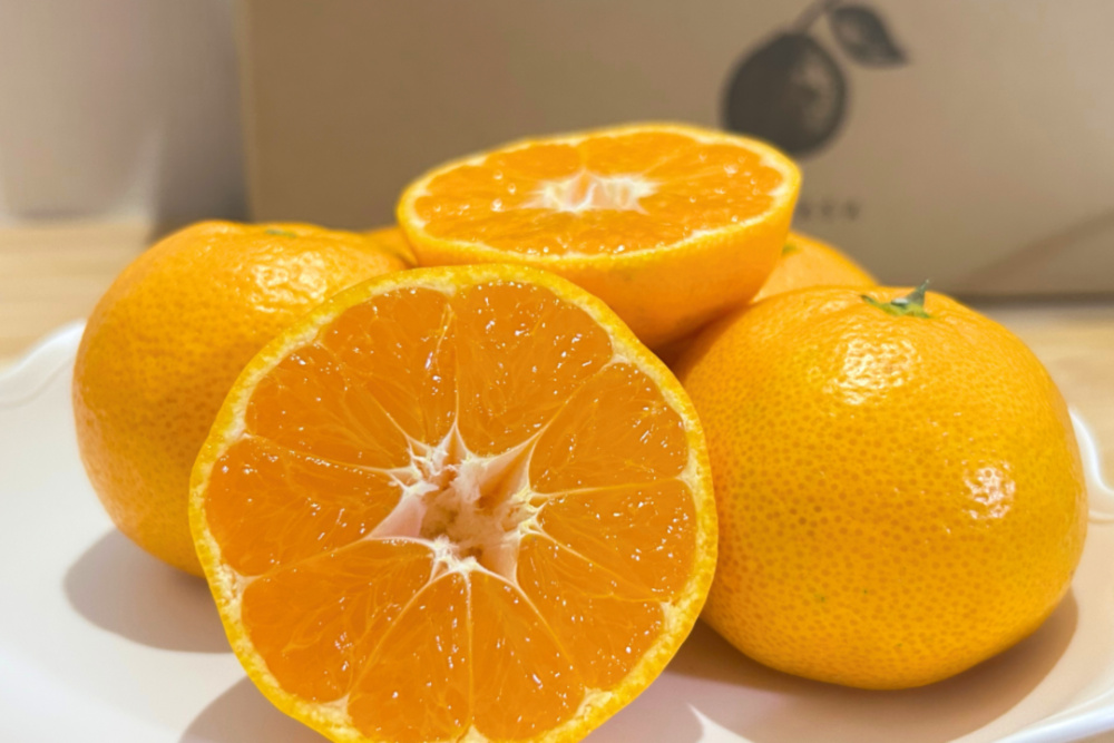 専用♥みかん❤超厚手★超暖か❤Ｗボア⭐大きめ超特大ブランケット❤ 2枚。Ha-M-R♥みかん❤超レア❤超極暖Wボア⭐