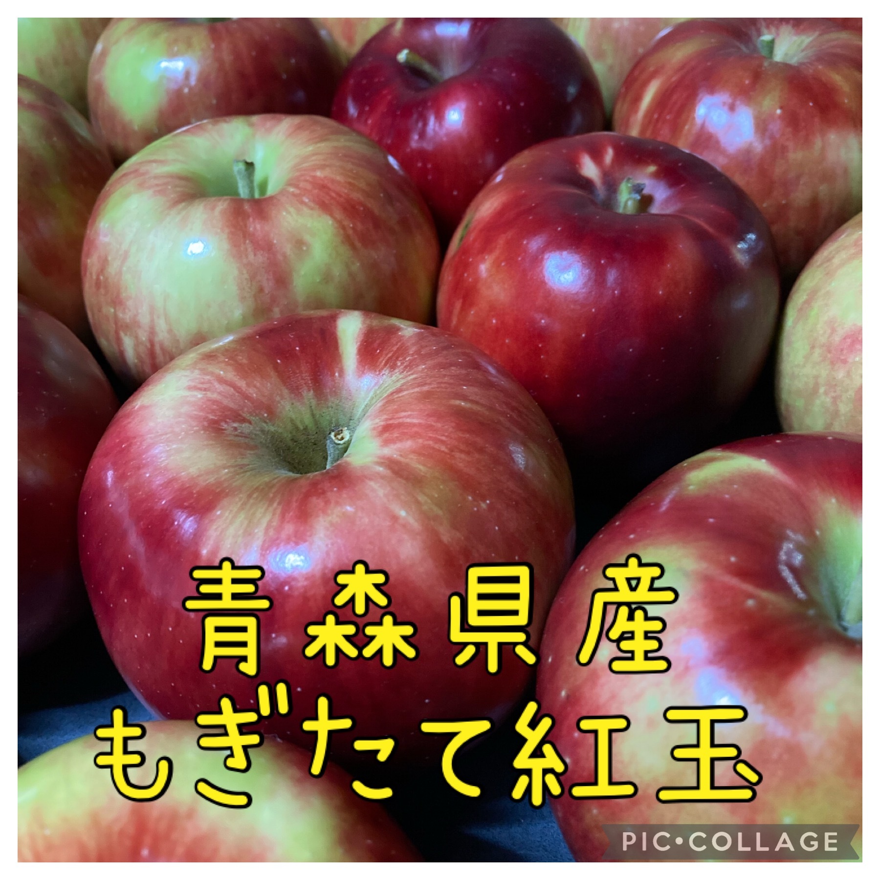 【送料無料】青森県産☆紅玉☆約4.5キロ（20〜24個）