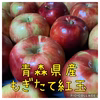 【送料無料】青森県産☆紅玉☆約10キロ
