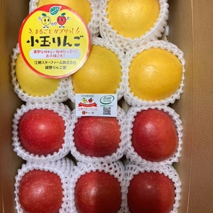 まるごとガブリっ！小玉・食べきりサイズMIXりんご【岩手江刺産】