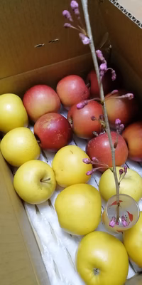 みんなの投稿の画像