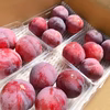 夏にピッタリ！甘酸っぱいスモモ　４パック