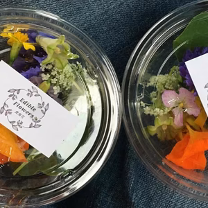 食卓に彩りを エディブルフラワーミックス＋オマケ