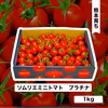 【特別栽培農産物】ソムリエミニトマト　プラチナ