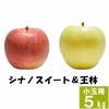 王林&スイート【訳あり小玉 5kg】2種食べ比べ☆10月上旬頃出荷開始予定