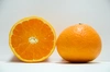 今が食べ頃！春柑橘の詰め合わせ（4種類・大小混合・訳あり）