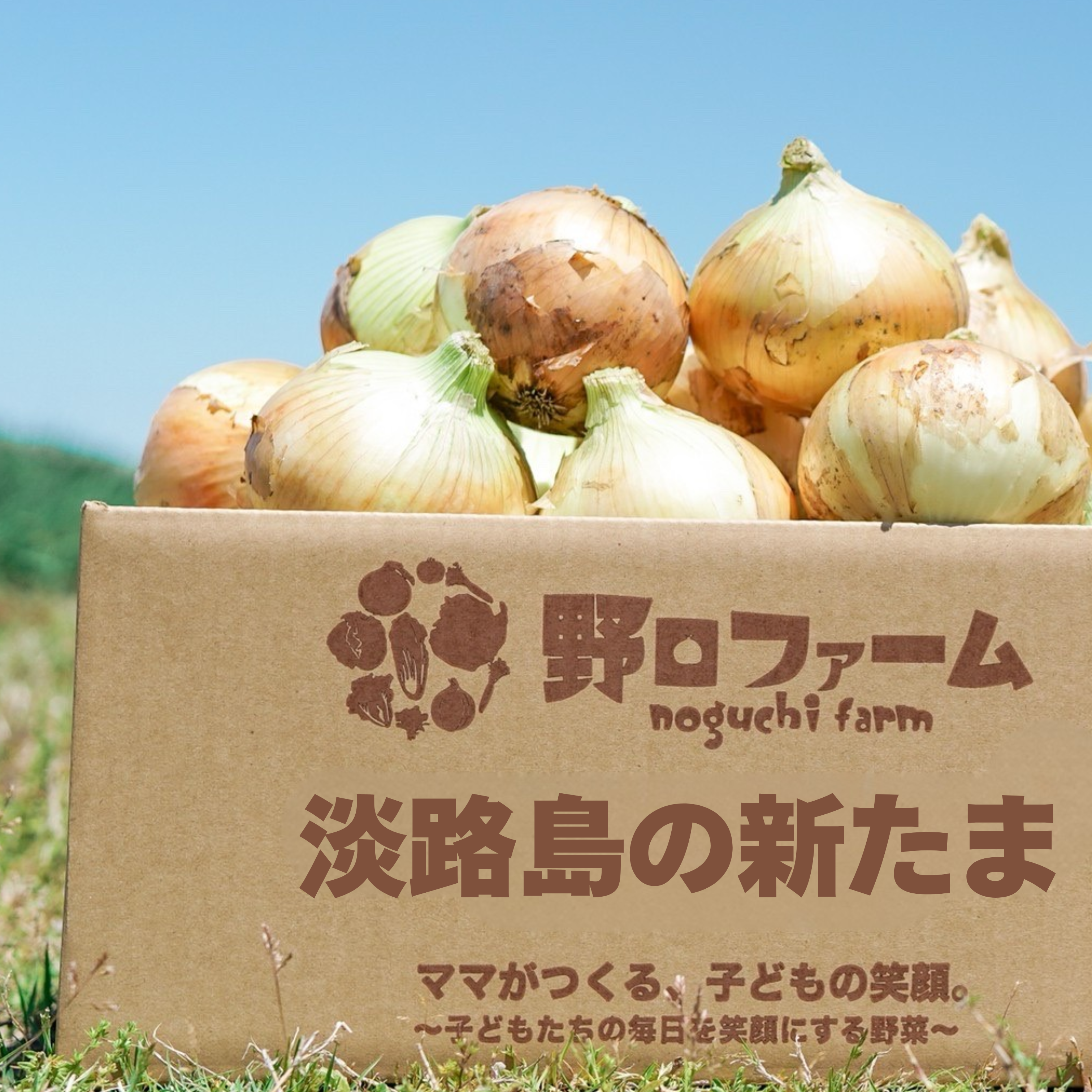 淡路島⭕春の新たま⭕子どもたちがパクパク食べちゃう♪ 2kg 約6〜8個入