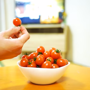 出汁の旨味弾けるっ！【無限ミニミニトマト】