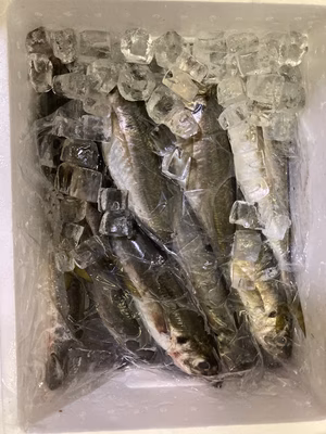 みんなの投稿の画像