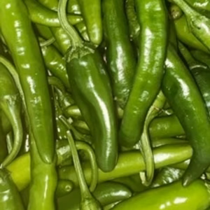 朝鮮なんばん「青とうがらし」クリックポスト便