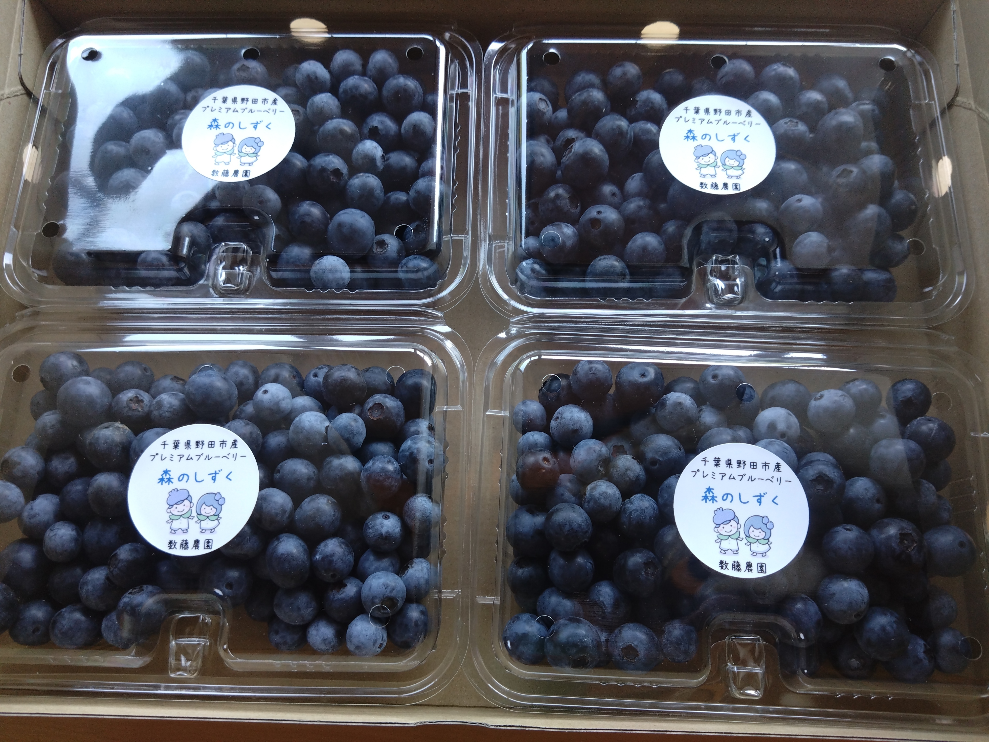 ブルーベリーさん専用 3種冷凍ミックスベリーセット】冷凍ブルーベリー(300g)、冷凍ウルトラ