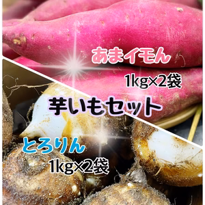 芋いもセット【とろりん】＆【あまイモん】