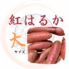 訳あり　大サイズ　紅はるか　詰め合わせ　約4.８kg 　農薬不使用