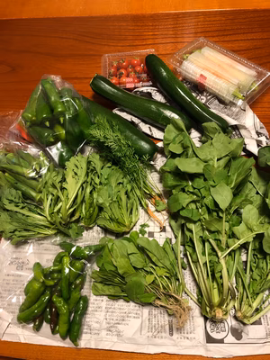 みんなの投稿の画像