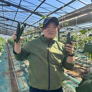 【常温配送/中ランク混合】3kg or 5㎏ きゅうり社長の新鮮朝どれきゅうり