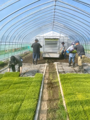 みんなの投稿の画像