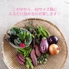 10月の少量お野菜セット　淡路島よりAwajicHorrorGarden