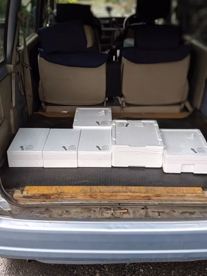 みんなの投稿の画像