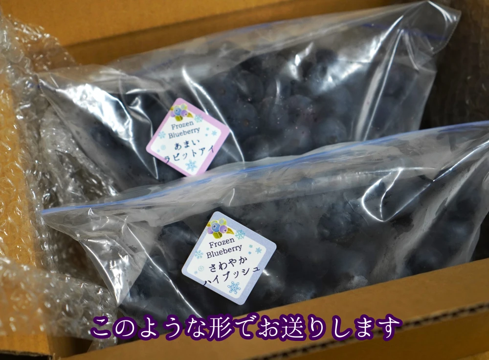 樹上完熟冷凍ブルーベリー食べ比べセット500ｇ×２種類（2023シーズン）