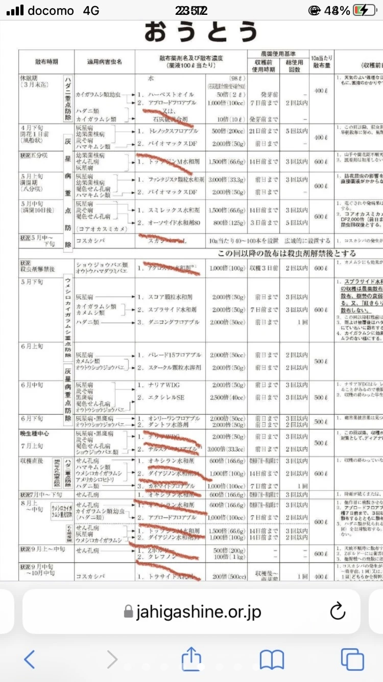 2箱分お試しサイズ500gの減農薬露地栽培佐藤錦　さくらんぼ　訳あり
