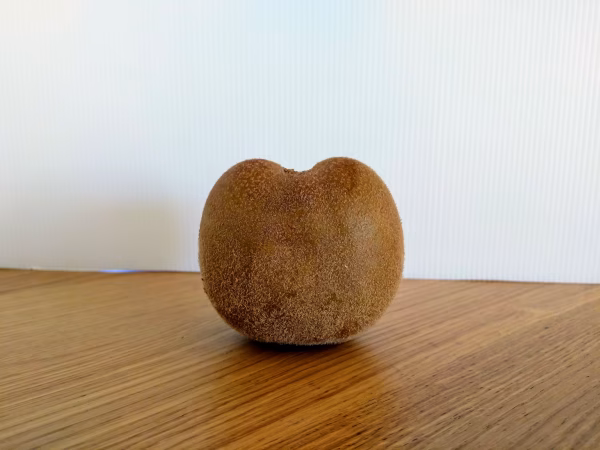 朝食のお共に！爽やかジューシー大アップルキウイ