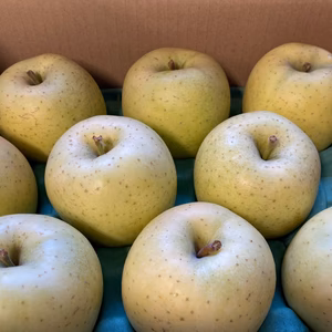 【訳あり】昔ながらの甘い青りんごの代表　【王林】