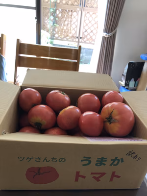 みんなの投稿の画像