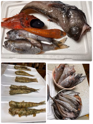 みんなの投稿の画像