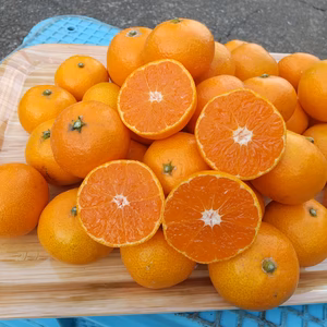 長崎の【完熟小粒】原口早生みかん(3kg)