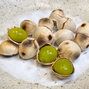 《2025年＊まもなく終了》祖父江産 銀杏 【久寿】大玉３Ｌサイズ　