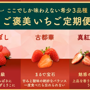 ここでしか味わえない希少3品種「ご褒美いちご定期便」