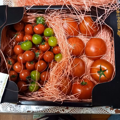 みんなの投稿の画像