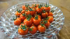 【フルーツトマト】糖度9以上ひと口サイズ