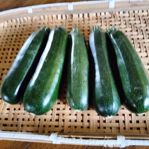 ズッキーニ　約3キロ　旬の野菜のおまけ付き！