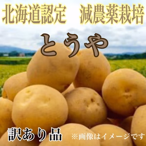 《更に5%増量！》減農薬栽培 じゃがいも【とうや】訳あり品