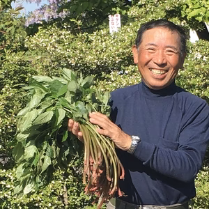 1日限定出品。みずみずしい「ミズ」あります。