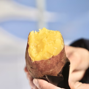 ご家庭用　ねっとりとろとろ！冷凍焼き芋