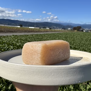 【3月お届け】これが本当の生芋こんにゃく