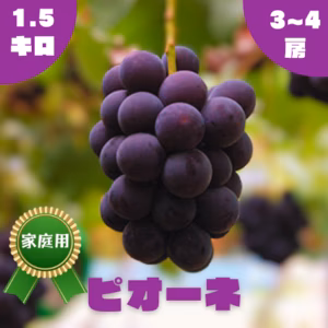 【家庭用】ピオーネ・1.5kg・2~4房