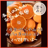 ✩大好評ありがとうございます☆【家庭用】 本気みかん 有田みかん 