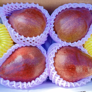 5箱限り‼️追熟済み‼️リーガルレッドコミス　