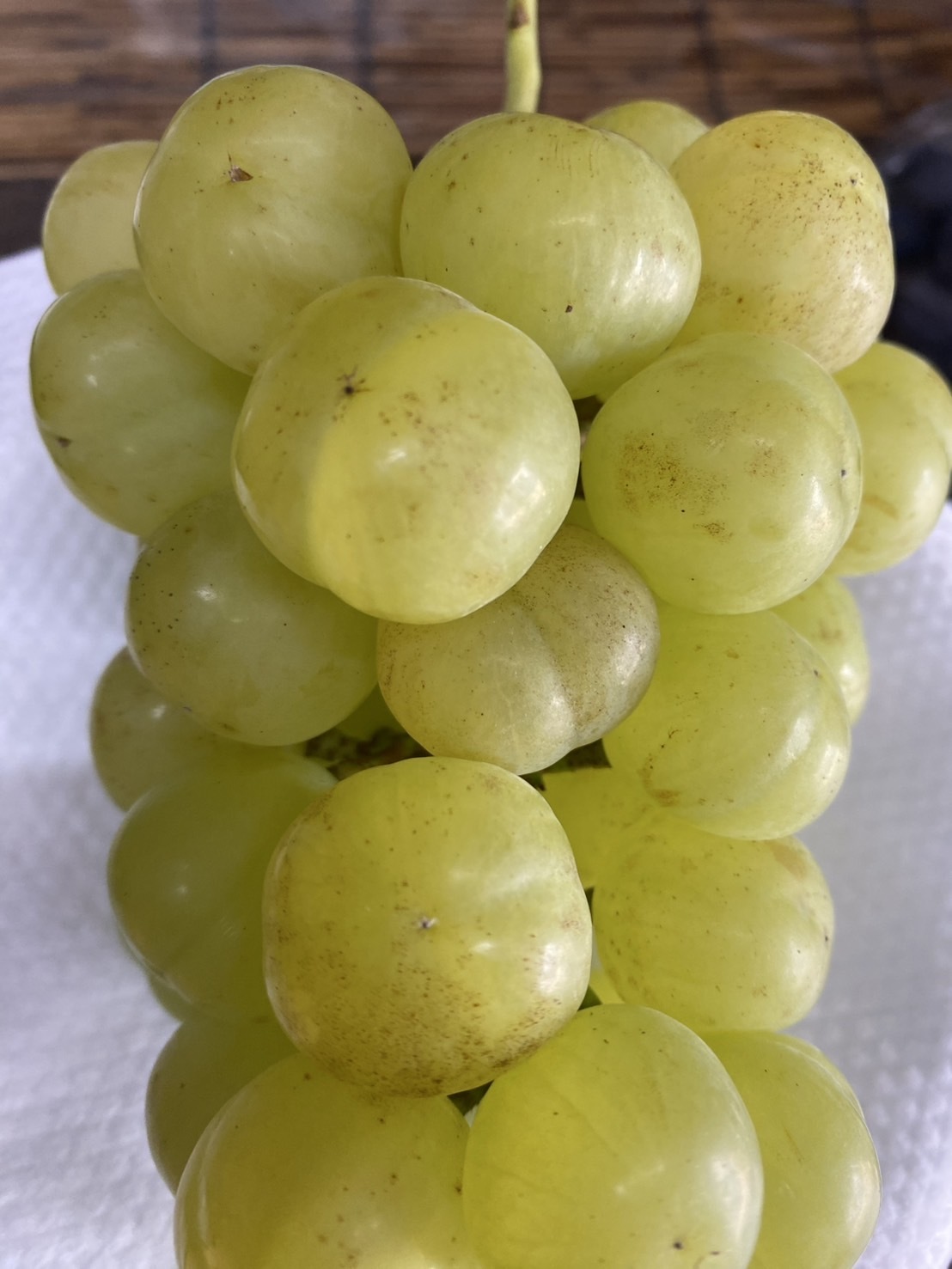 岡山県産 絶品朝採りシャインマスカット・瀬戸ジャイアンツ 2kg超